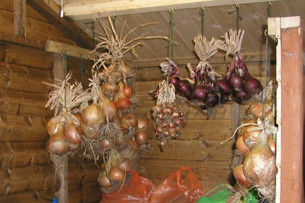 Кракен маркетплейс откуда взялся