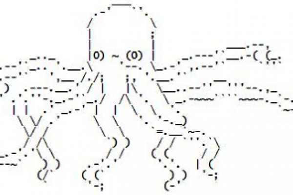 Kraken 13 at