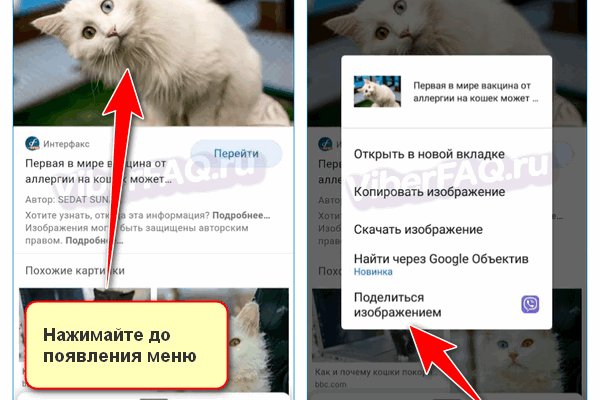 Как найти актуальную ссылку на кракен